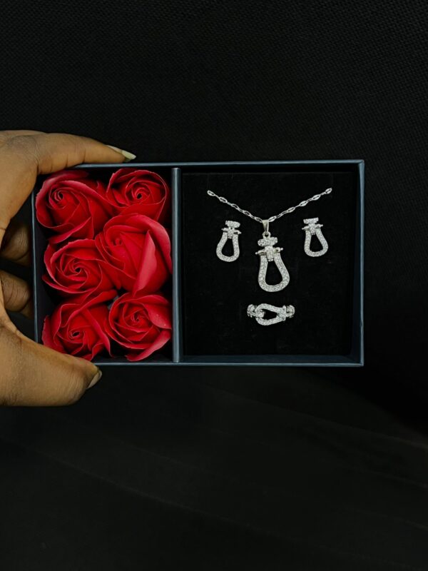 The Radiant Set - Image 4